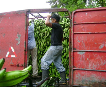 haga click para ampliar la imagen