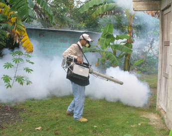 haga click para ampliar la imagen