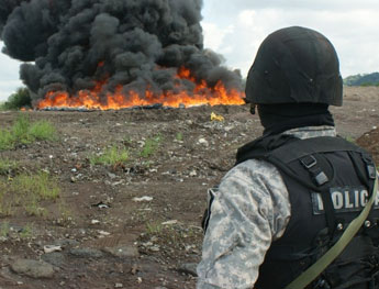 haga click para ampliar la imagen