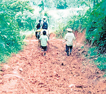 haga click para ampliar la imagen