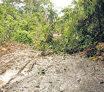 haga click para ampliar la imagen