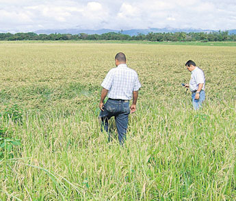 haga click para ampliar la imagen
