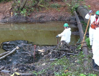 haga click para ampliar la imagen