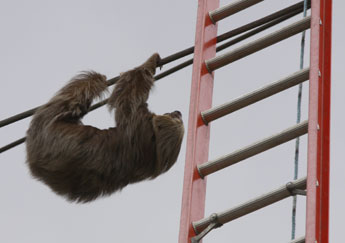 haga click para ampliar la imagen