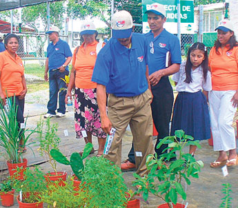 haga click para ampliar la imagen