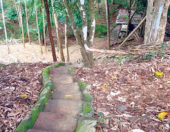 haga click para ampliar la imagen