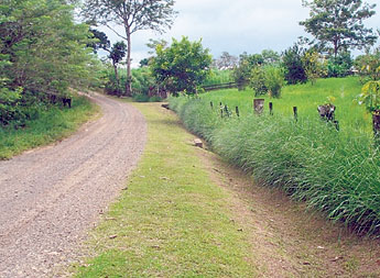 haga click para ampliar la imagen