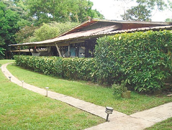 haga click para ampliar la imagen