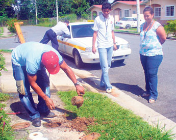 haga click para ampliar la imagen