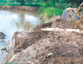 haga click para ampliar la imagen