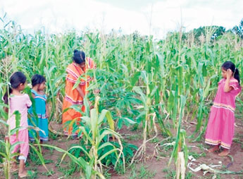 haga click para ampliar la imagen