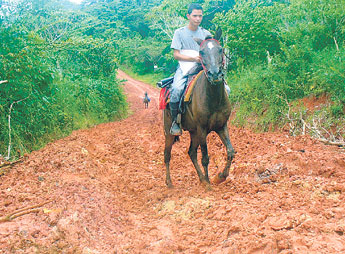 haga click para ampliar la imagen