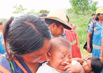 haga click para ampliar la imagen