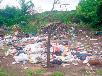 haga click para ampliar la imagen