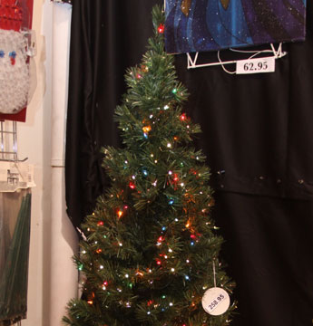 haga click para ampliar la imagen