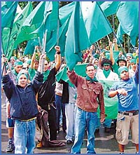 Imagen foto
