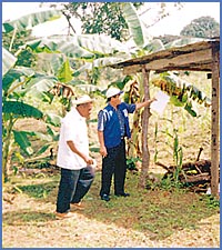 Imagen foto