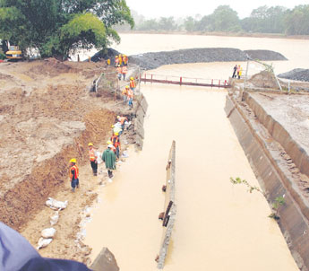 haga click para ampliar la imagen