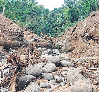 haga click para ampliar la imagen