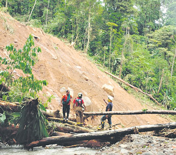 haga click para ampliar la imagen