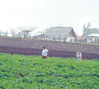 haga click para ampliar la imagen