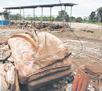 haga click para ampliar la imagen