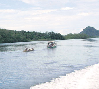 haga click para ampliar la imagen