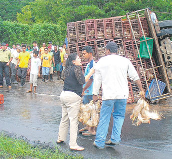 haga click para ampliar la imagen