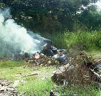 Imagen foto