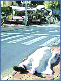 Imagen foto