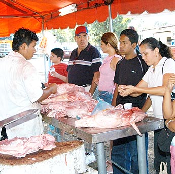 haga click para ampliar la imagen