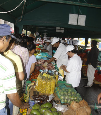 haga click para ampliar la imagen