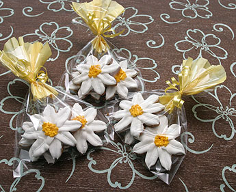 haga click para ampliar la imagen