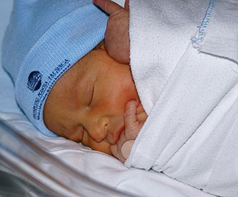 haga click para ampliar la imagen