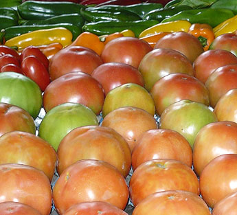 haga click para ampliar la imagen