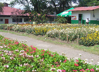 haga click para ampliar la imagen