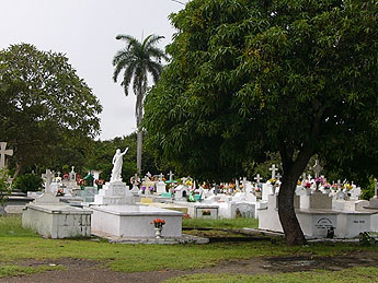 haga click para ampliar la imagen