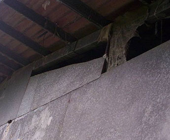 haga click para ampliar la imagen