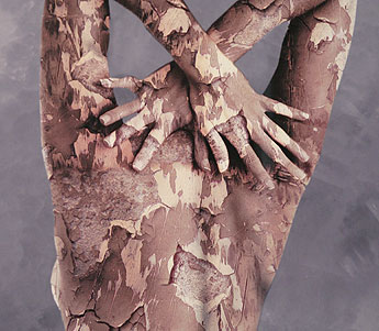 haga click para ampliar la imagen