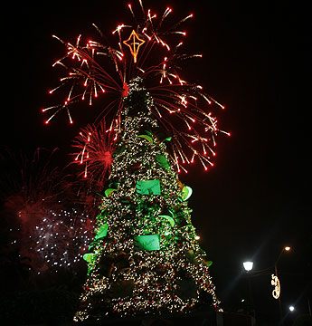 haga click para ampliar la imagen