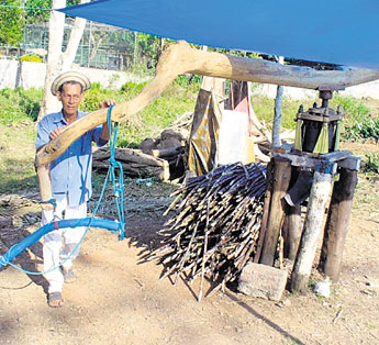 haga click para ampliar la imagen