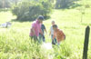haga click para ampliar la imagen