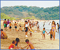 Imagen foto