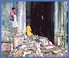 Imagen foto