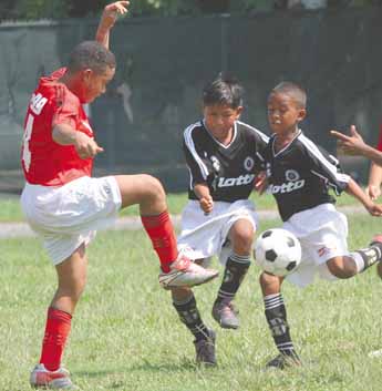 Imagen foto