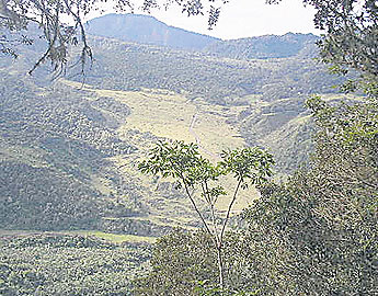 haga click para ampliar la imagen