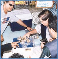 Imagen foto