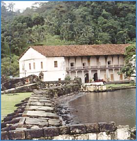 Imagen foto