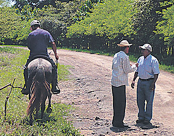 haga click para ampliar la imagen