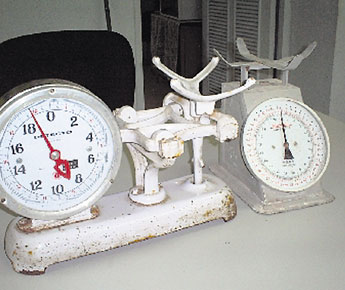 haga click para ampliar la imagen